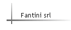 Fantini srl