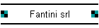 Fantini srl