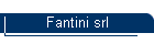 Fantini srl