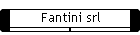 Fantini srl