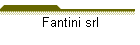 Fantini srl