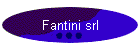 Fantini srl