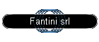 Fantini srl