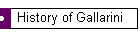 History of Gallarini